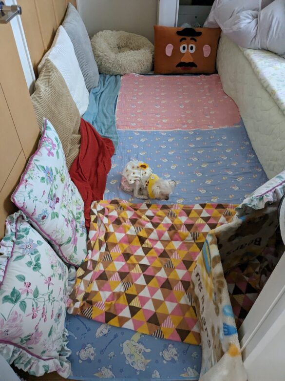 クッションと布団で突撃防止